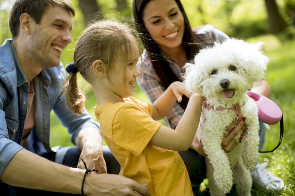 Beautiful happy family is having fun with bichon dog outdoors